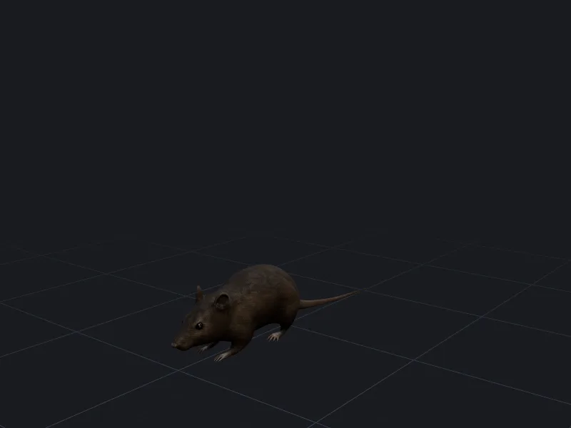Street rat 3D model